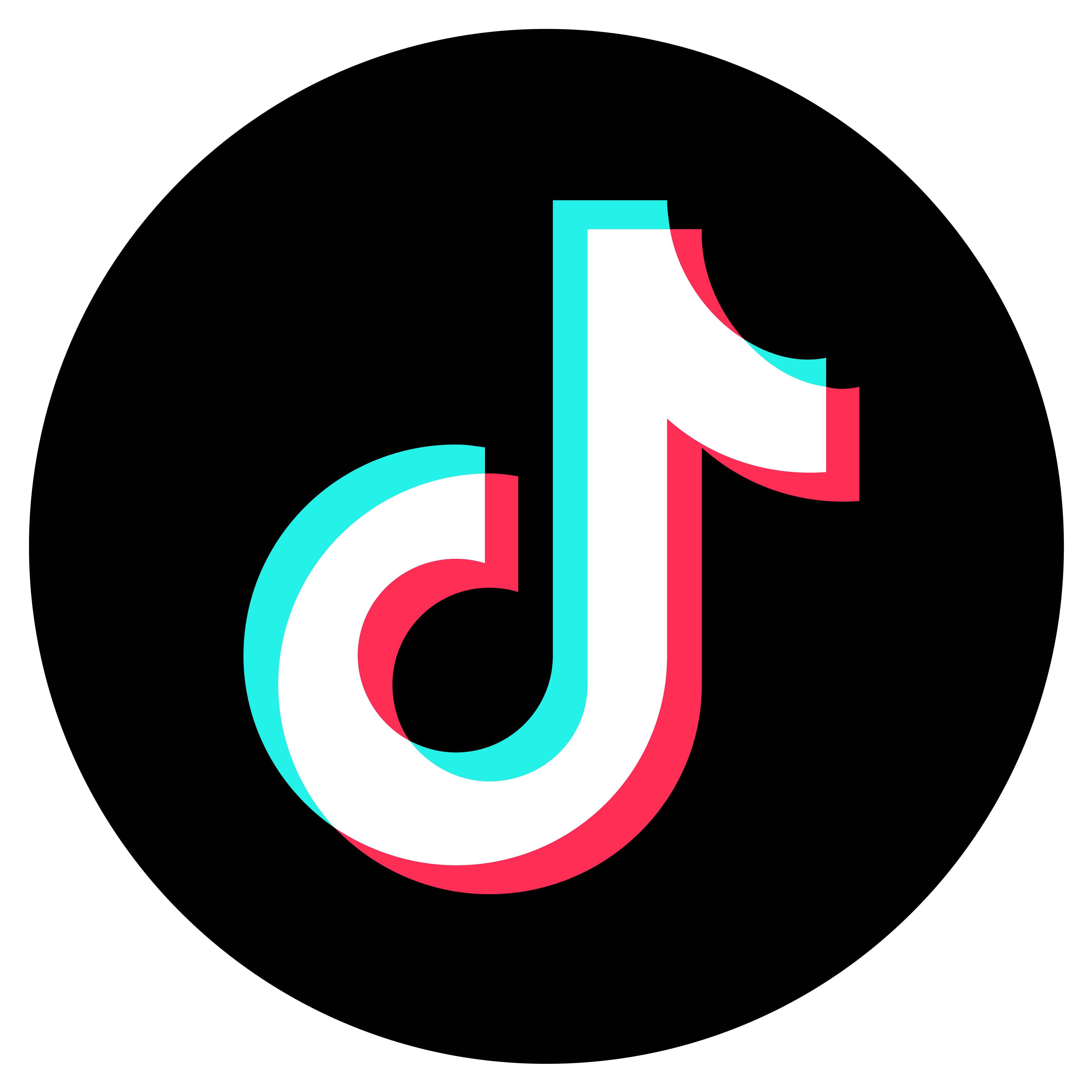 Icon small Tiktok